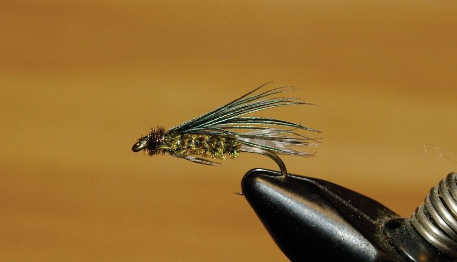 TOP 5 Stillwater Fly Patterns: A Guide’s Guide To Tying For Trophy Trout