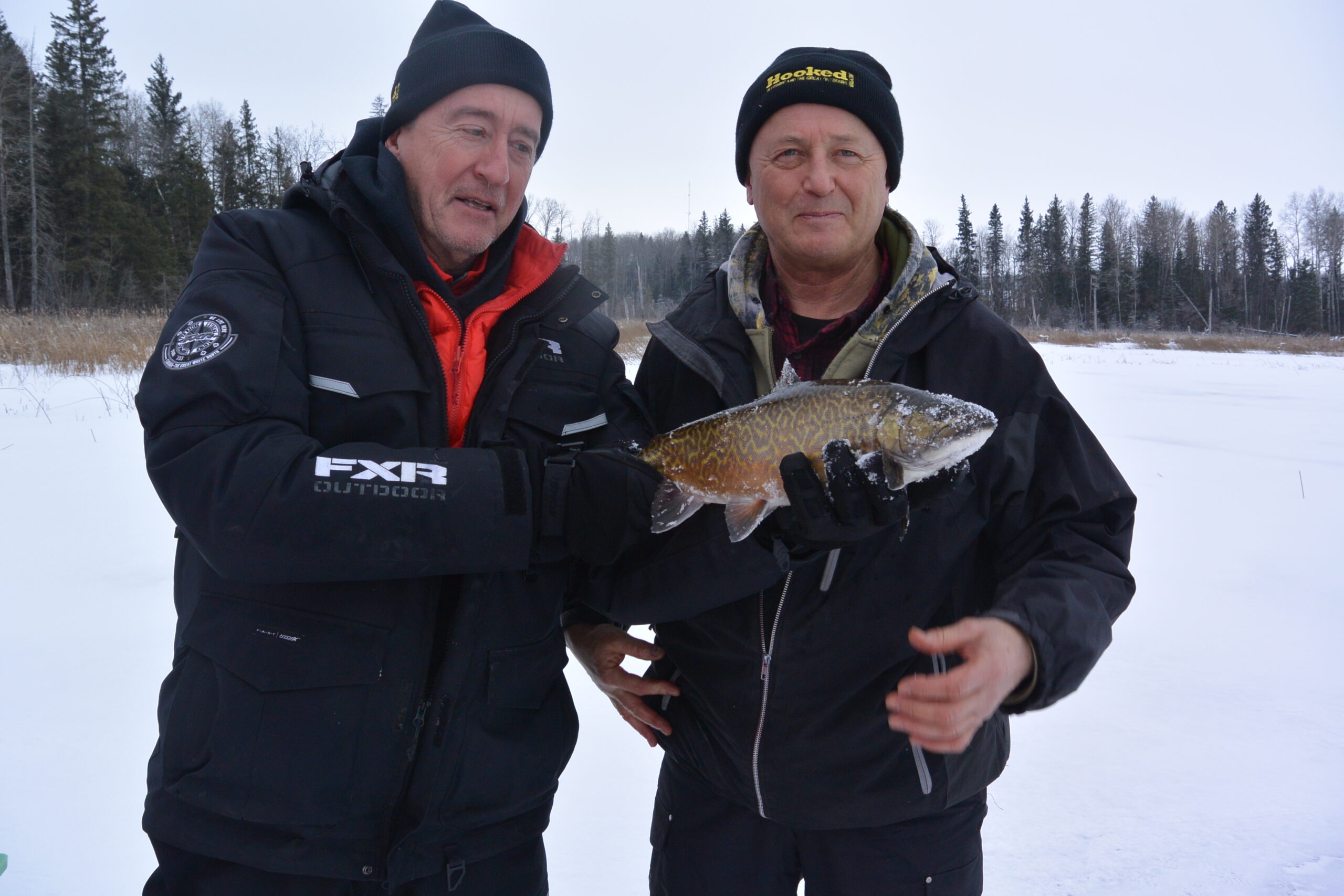 Tiger trout are truly special