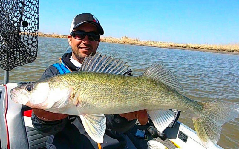 Whitemud River Walleyes