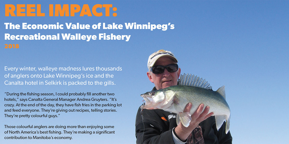 Lake Winnipeg Walleye Economic Study Results   FBWalleye Cover 