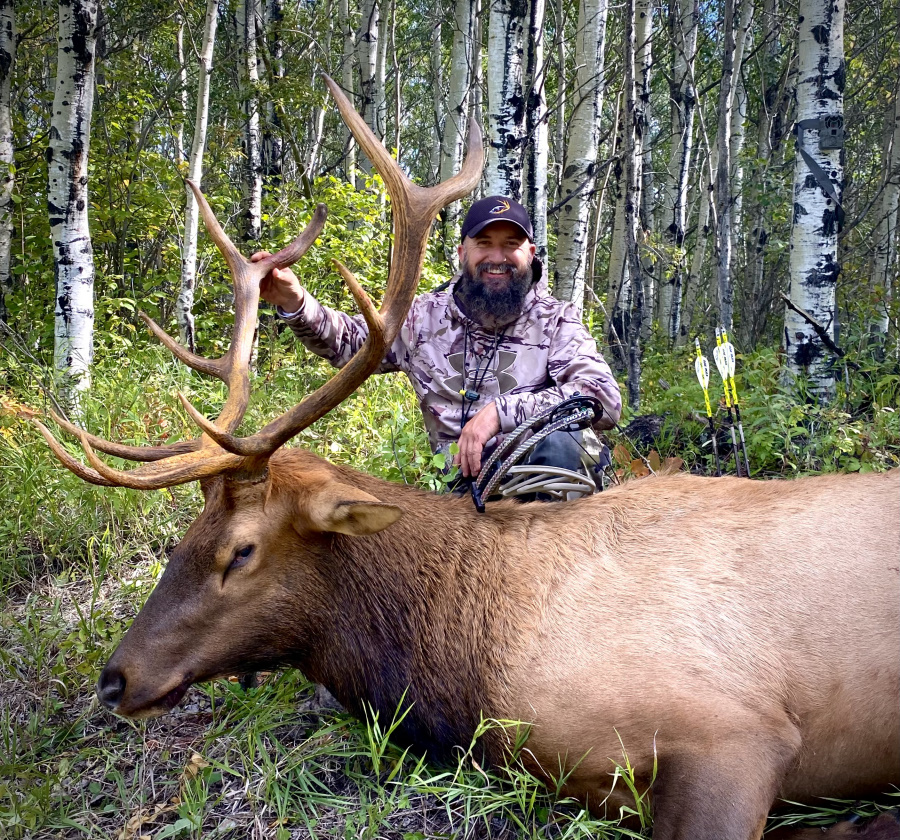 Archery Elk in Manitoba